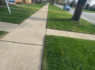 Nancy S.'s lawn care service result
