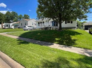 Renita H.'s lawn care services service result