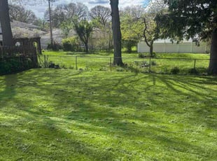 Diana W.'s lawn maintenance service result