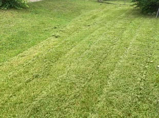 Bobby W.'s turf care service result