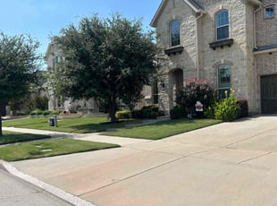 Sue K.'s lawn service service result