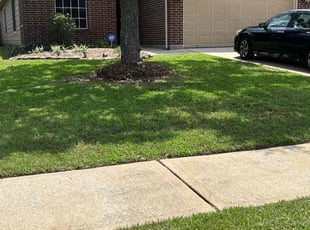 Pamela C.'s turf maintenance service result