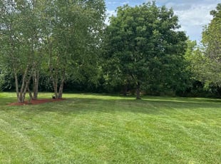 Margaret S.'s lawn service service result