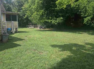 Tessa D.'s grass maintenance service result