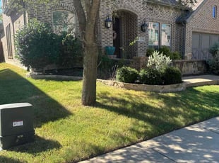 Shelley R.'s turf care service result