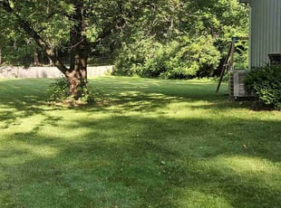 Linda J.'s lawn care service result