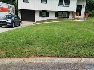 Edy G.'s landscaping services service result