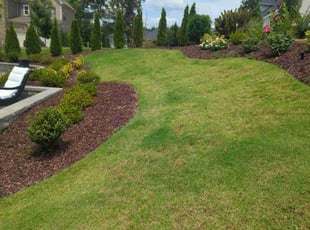 Demeka G.'s Flower Bed Weeding service result