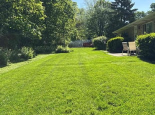 Sylvester M.'s turf maintenance service result