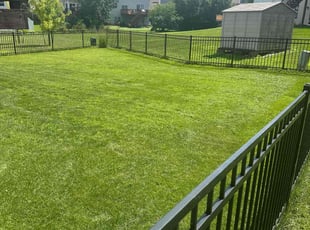David M.'s lawn maintenance service result