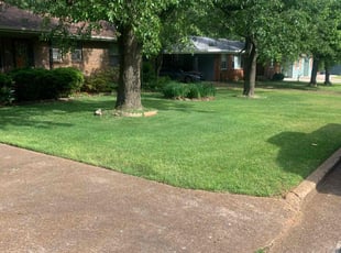 Harrison C.'s turf maintenance service result