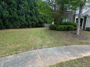 MaryJo S.'s grass maintenance service result