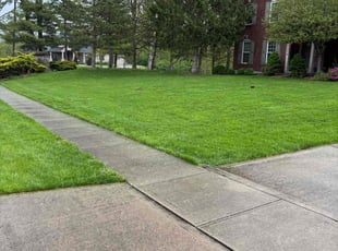 Thor W.'s turf care service result