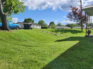 Jasmine L.'s turf maintenance service result
