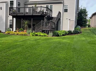 Ellie C.'s lawn care service result