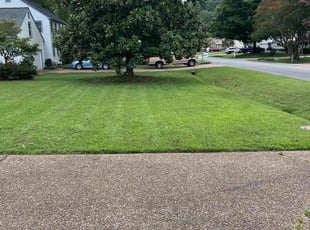 Janet J.'s turf maintenance service result