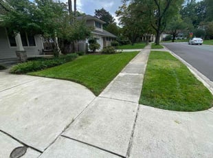 Jason H.'s lawn maintenance service result