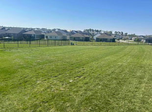 Shawn D.'s grass cutting service result