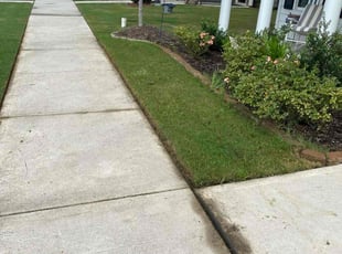 Shavon B.'s turf maintenance service result