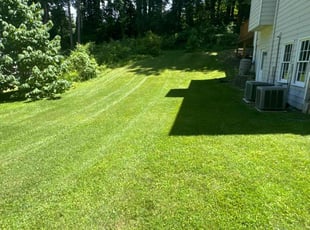 Craig L.'s lawn care services service result