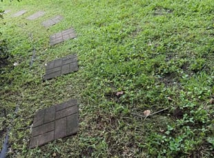 Michael G.'s lawn maintenance service result