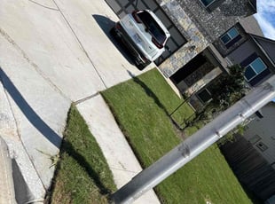Jack B.'s turf care service result