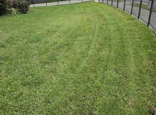 Richard T.'s lawn service service result