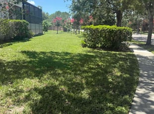 Phyllis L.'s lawn care services service result