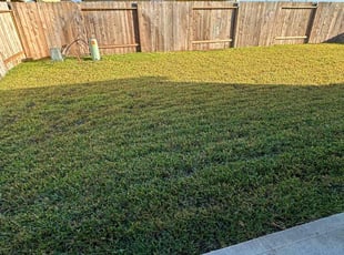 Patricia Y.'s turf care service result