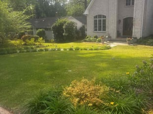 Carace M.'s lawn care service result