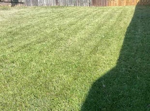 Frank B.'s grass cutting service result