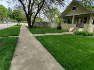 Frank T.'s grass cutting service result