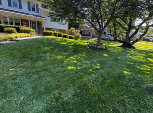 Marjorie C.'s grass maintenance service result