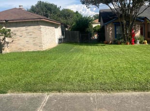 Venita Y.'s lawn care services service result