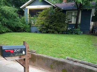 Jack F.'s yard care service result