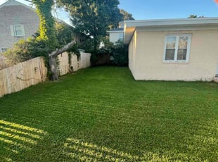Alyson S.'s grass cutting service result