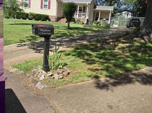 Heru B.'s lawn service service result