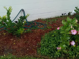 Mildred G.'s turf maintenance service result