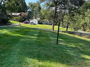 Kyle S.'s turf care service result