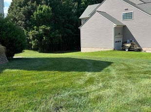 Thien L.'s grass maintenance service result