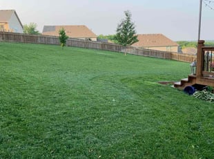 Alex W.'s grass cutting service result