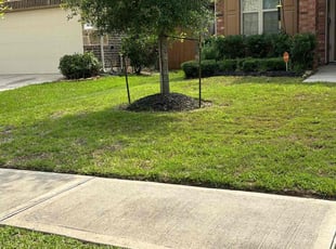 Christopher W.'s lawn maintenance service result
