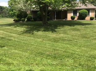 James B.'s turf care service result