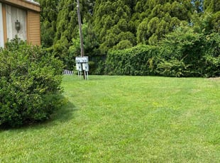 Nomair A.'s landscape maintenance service result