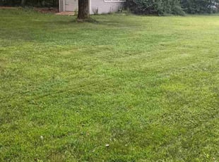 Ofei M.'s landscaping service result