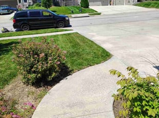 Micah M.'s yard work service result