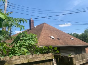 Lawrence R.'s Bush Trimming service result