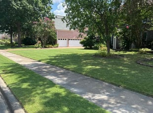 Sheila H.'s lawn care services service result