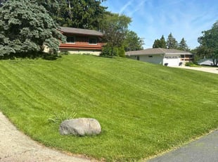 Colleen S.'s turf maintenance service result