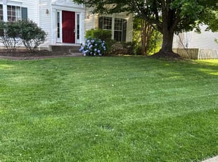 Christine J.'s lawn care service result